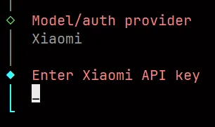 填入你的 API Key